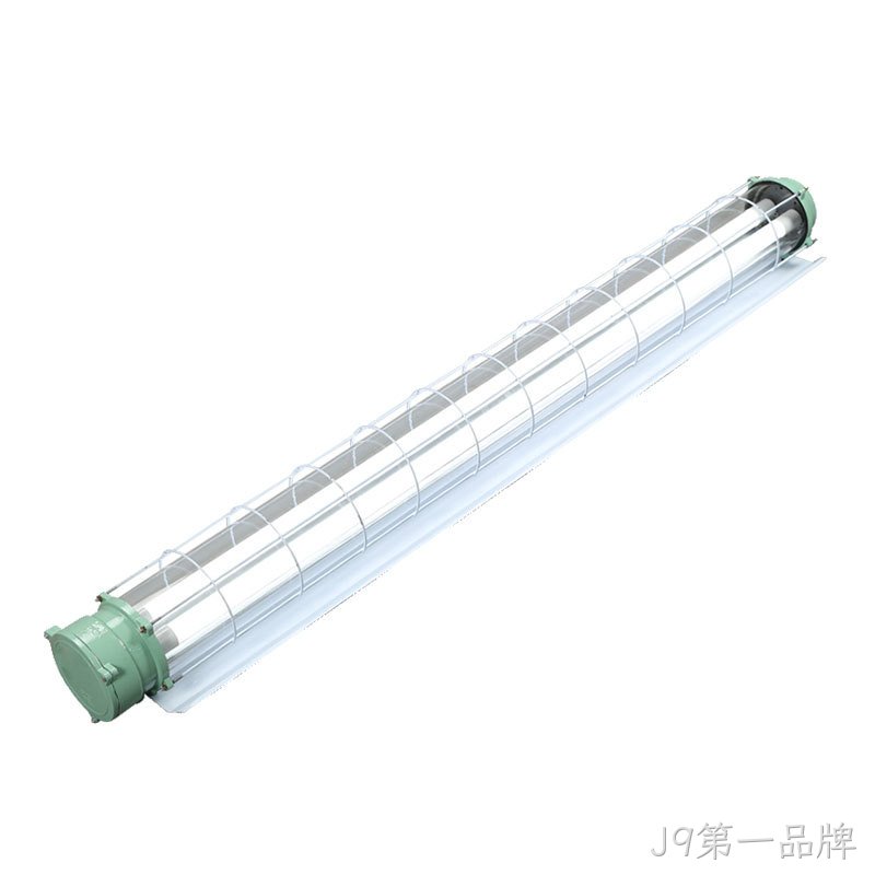 Z03系列防爆支架灯
